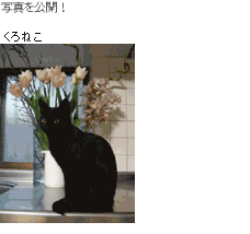 �ʐ^�\���C���[�W